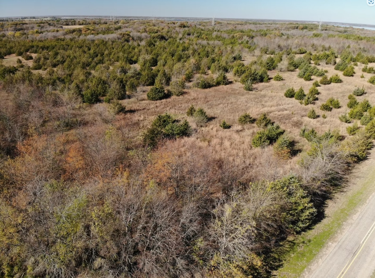 Tract 5 Farm to Market 1743, Honey Grove, TX, 75446 | 20924333 | Realty Texas LLC