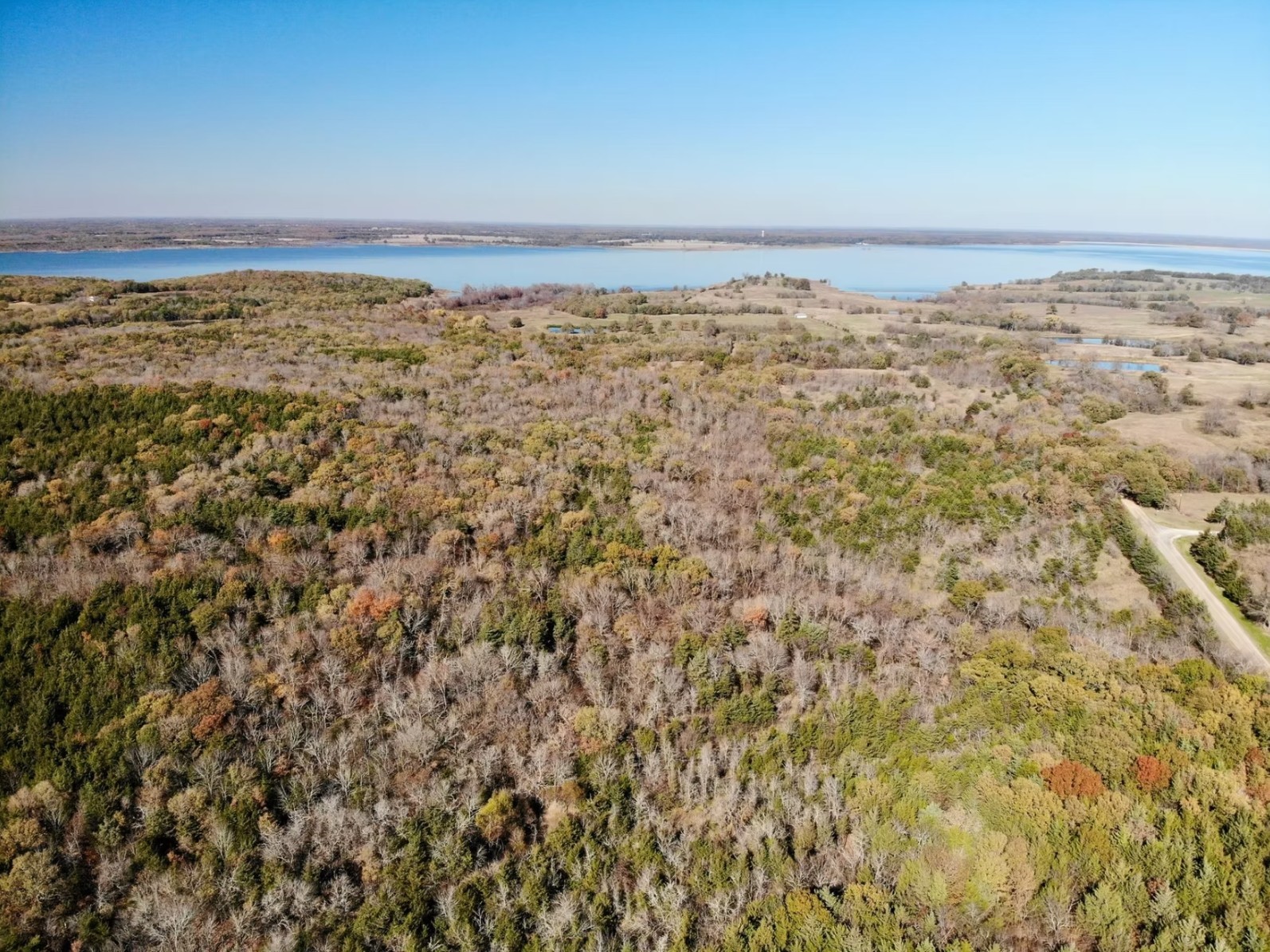 Tract 5 Farm to Market 1743, Honey Grove, TX, 75446 | 20924333 | Realty Texas LLC