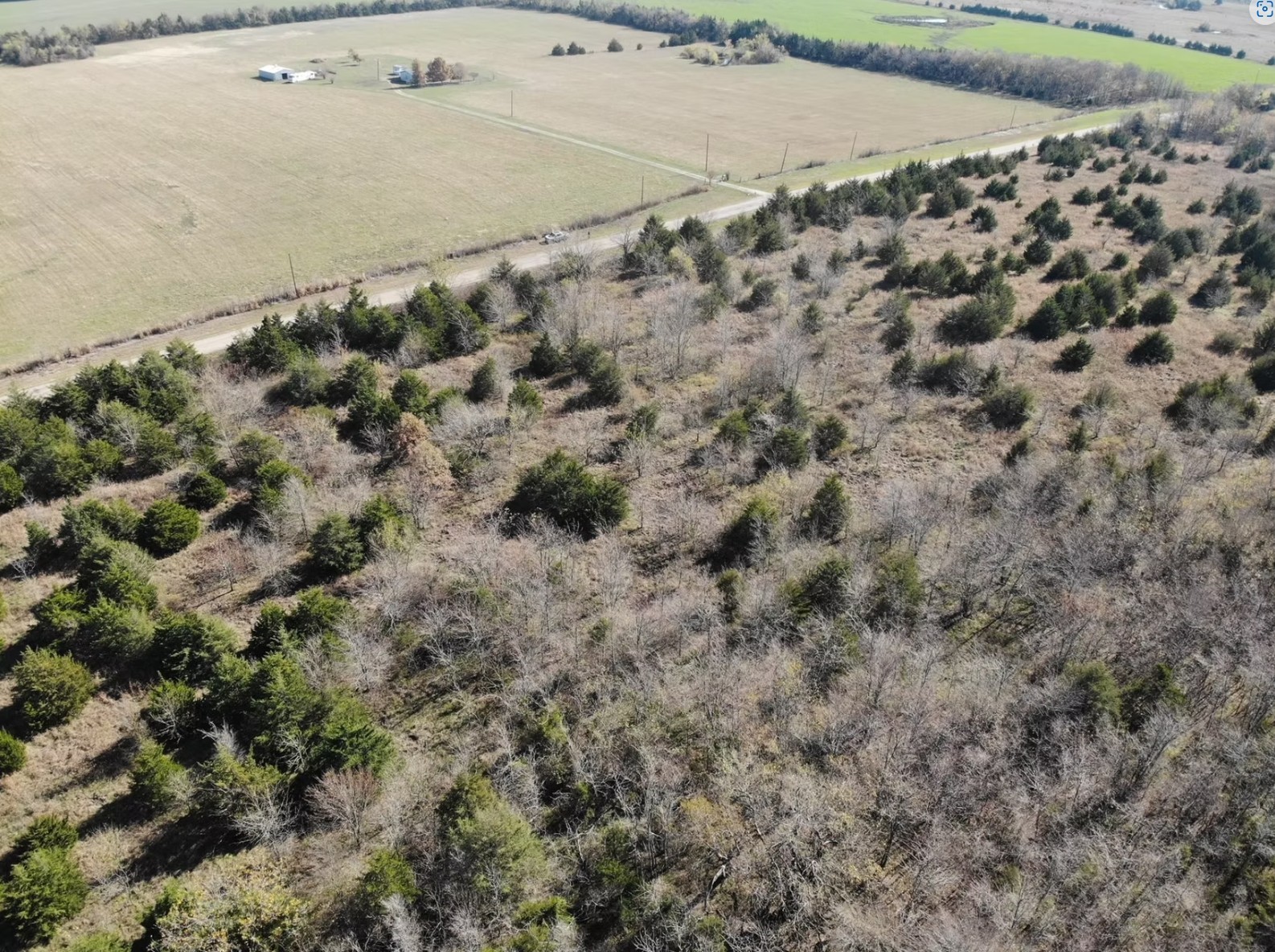 Tract 5 Farm to Market 1743, Honey Grove, TX, 75446 | 20924333 | Realty Texas LLC