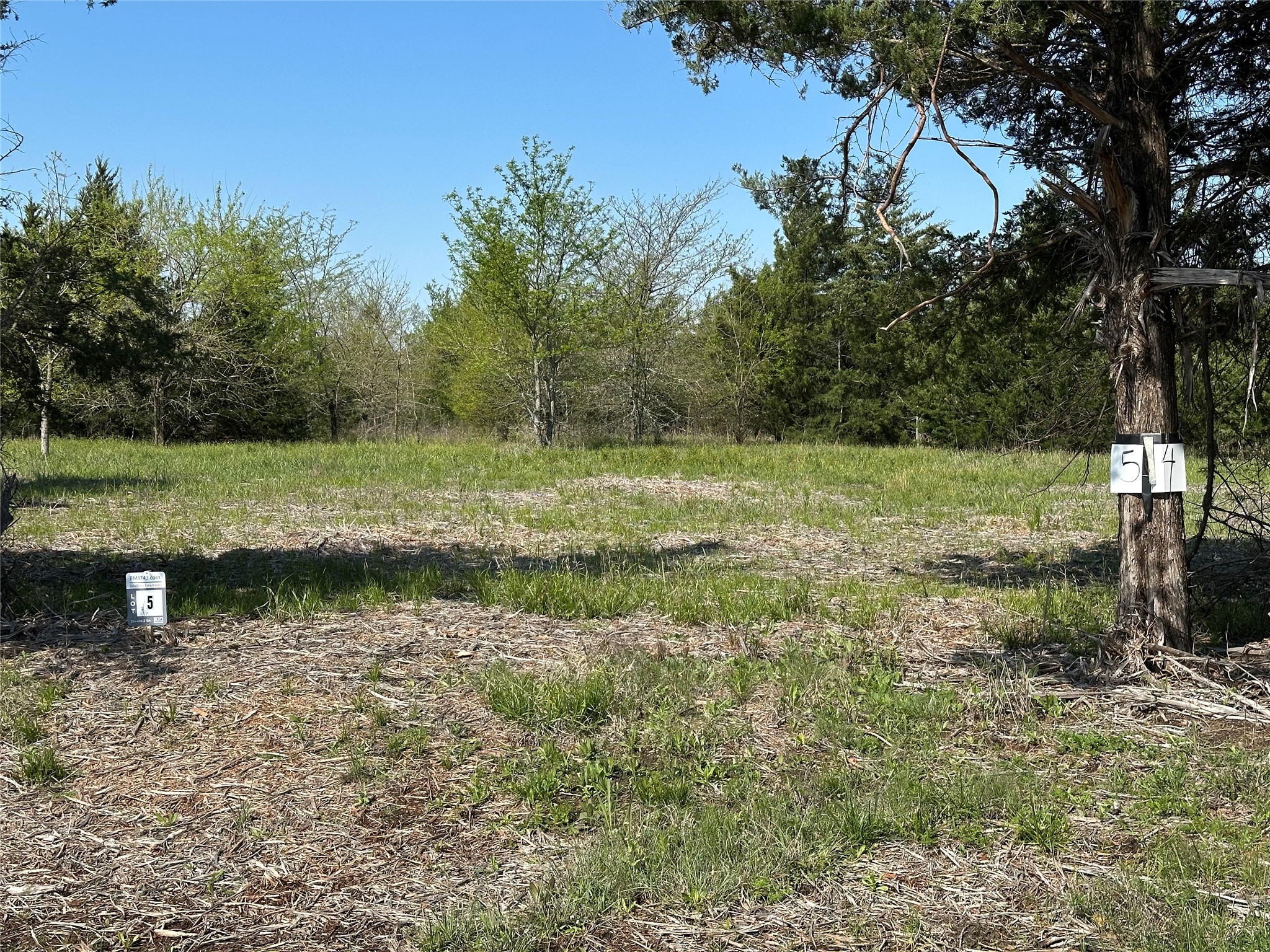 Tract 5 Farm to Market 1743, Honey Grove, TX, 75446 | 20924333 | Realty Texas LLC