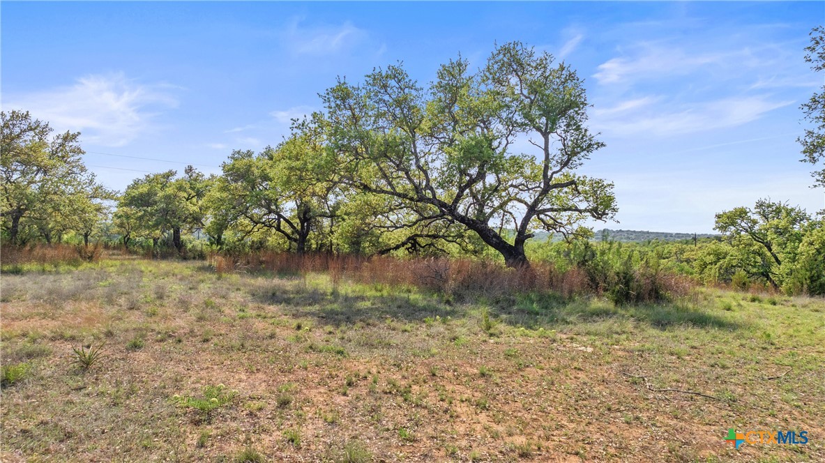 0 Hwy 290 , Johnson City, TX, 78636 | 578151 | Realty Texas LLC