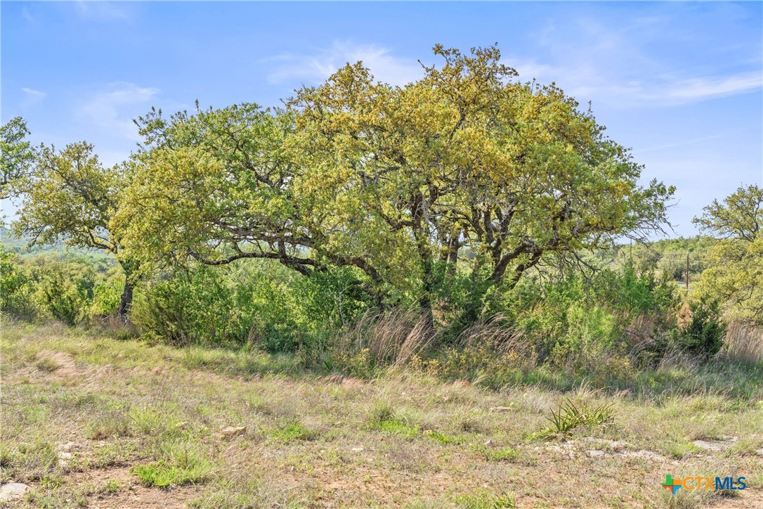 0 Hwy 290 , Johnson City, TX, 78636 | 578151 | Realty Texas LLC