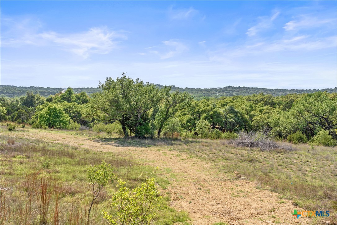 0 Hwy 290 , Johnson City, TX, 78636 | 578151 | Realty Texas LLC