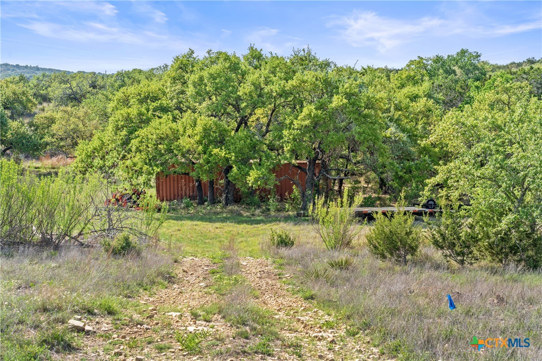 0 Hwy 290 , Johnson City, TX, 78636 | 578151 | Realty Texas LLC