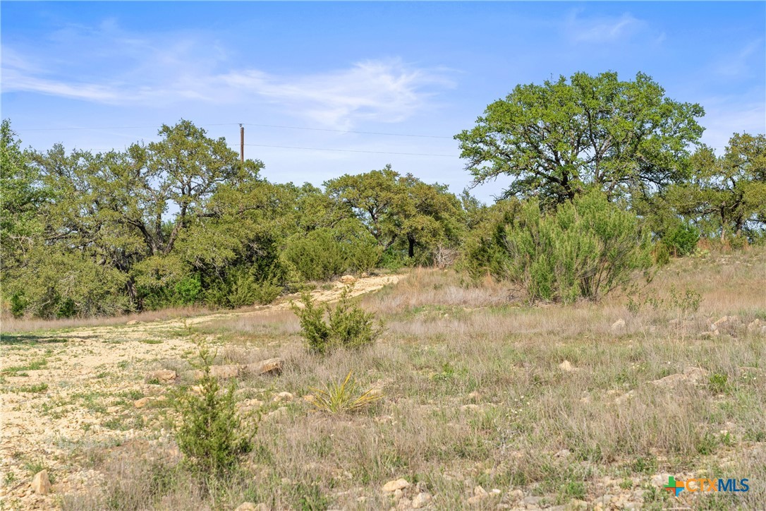 0 Hwy 290 , Johnson City, TX, 78636 | 578151 | Realty Texas LLC