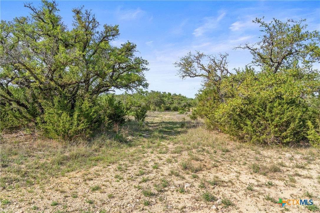 0 Hwy 290 , Johnson City, TX, 78636 | 578151 | Realty Texas LLC