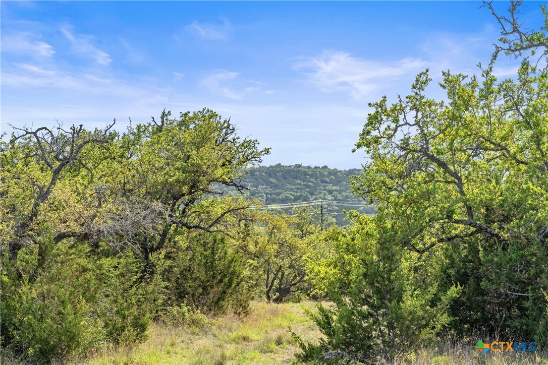 0 Hwy 290 , Johnson City, TX, 78636 | 578151 | Realty Texas LLC