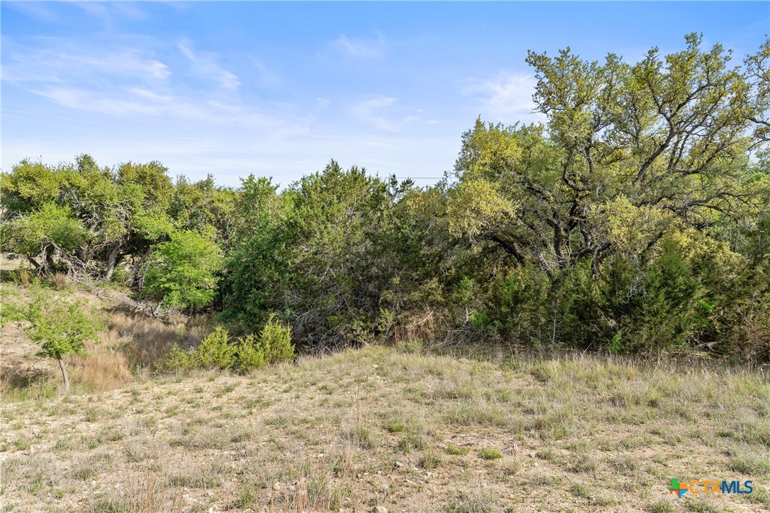 0 Hwy 290 , Johnson City, TX, 78636 | 578151 | Realty Texas LLC