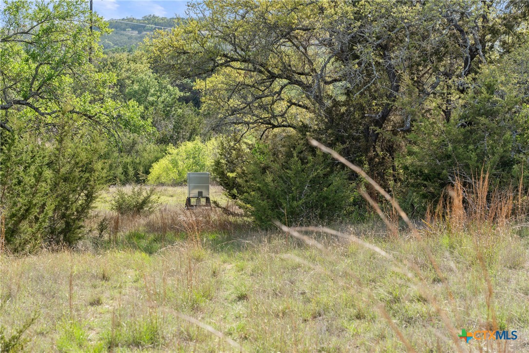 0 Hwy 290 , Johnson City, TX, 78636 | 578151 | Realty Texas LLC