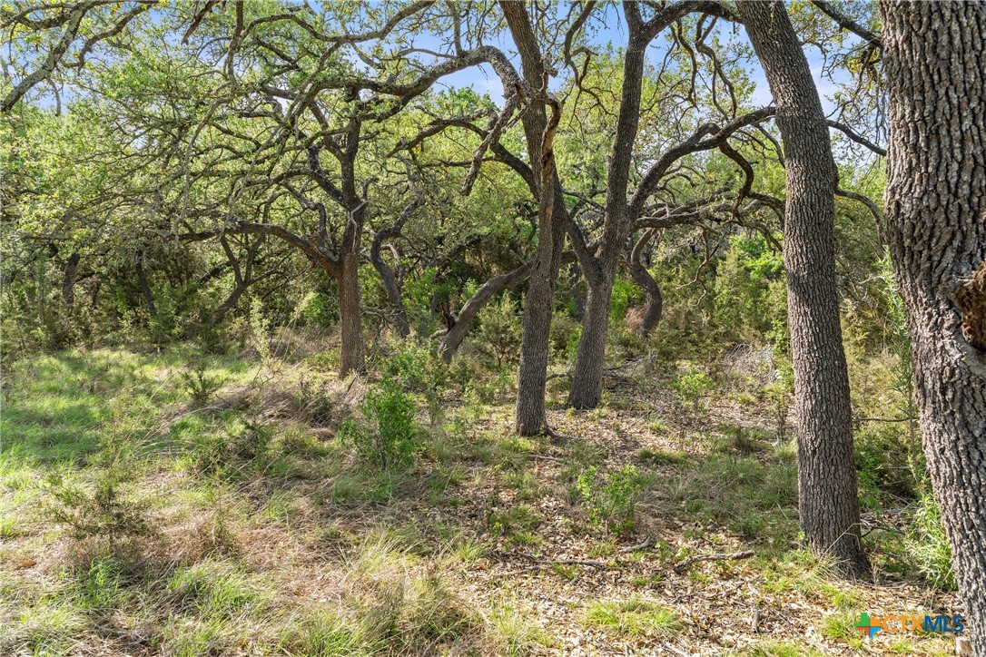 0 Hwy 290 , Johnson City, TX, 78636 | 578151 | Realty Texas LLC