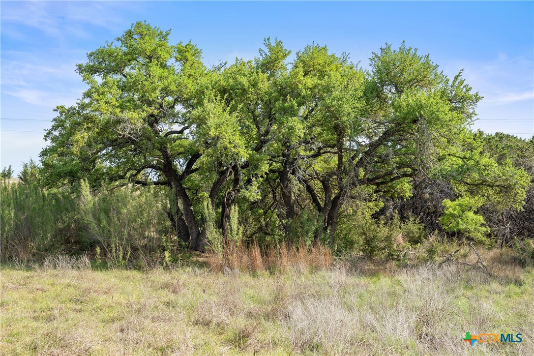 0 Hwy 290 , Johnson City, TX, 78636 | 578151 | Realty Texas LLC