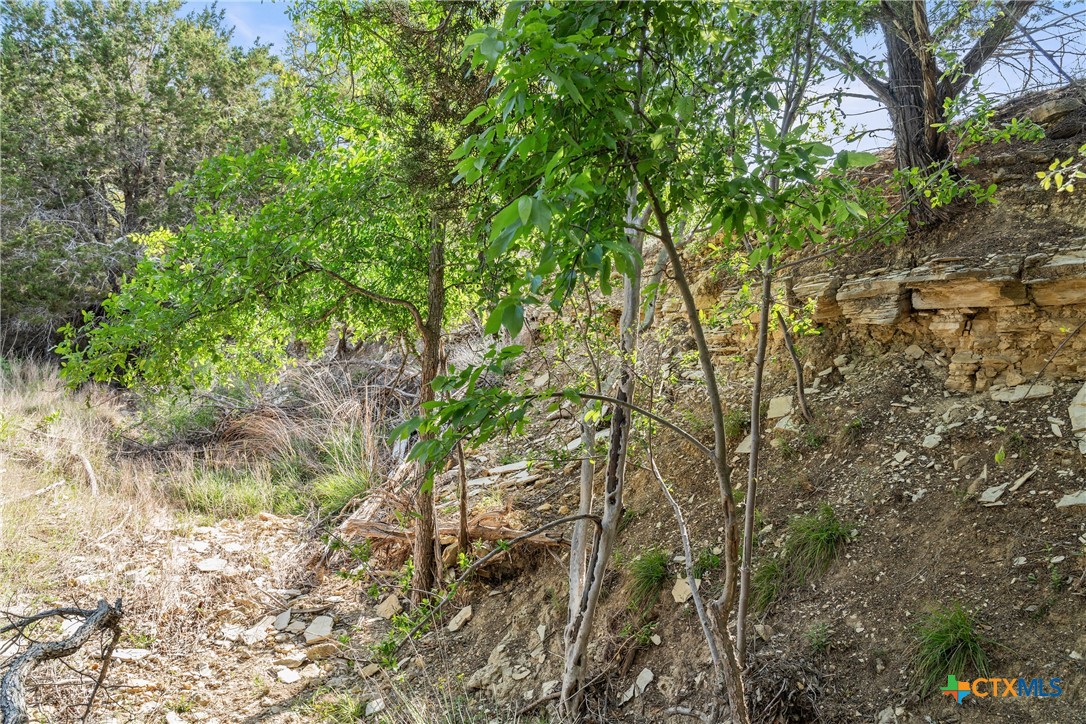 0 Hwy 290 , Johnson City, TX, 78636 | 578151 | Realty Texas LLC