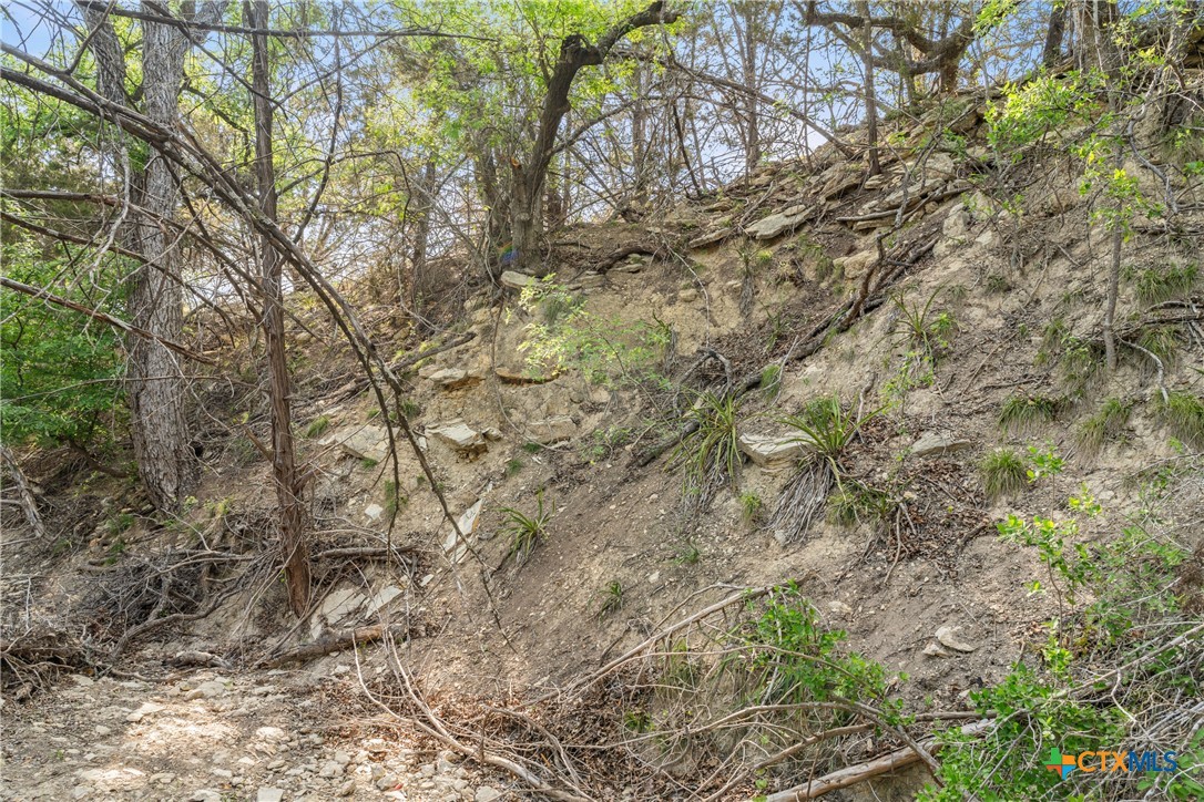 0 Hwy 290 , Johnson City, TX, 78636 | 578151 | Realty Texas LLC