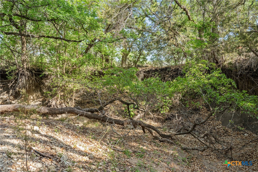 0 Hwy 290 , Johnson City, TX, 78636 | 578151 | Realty Texas LLC