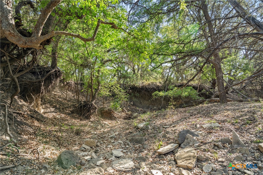 0 Hwy 290 , Johnson City, TX, 78636 | 578151 | Realty Texas LLC