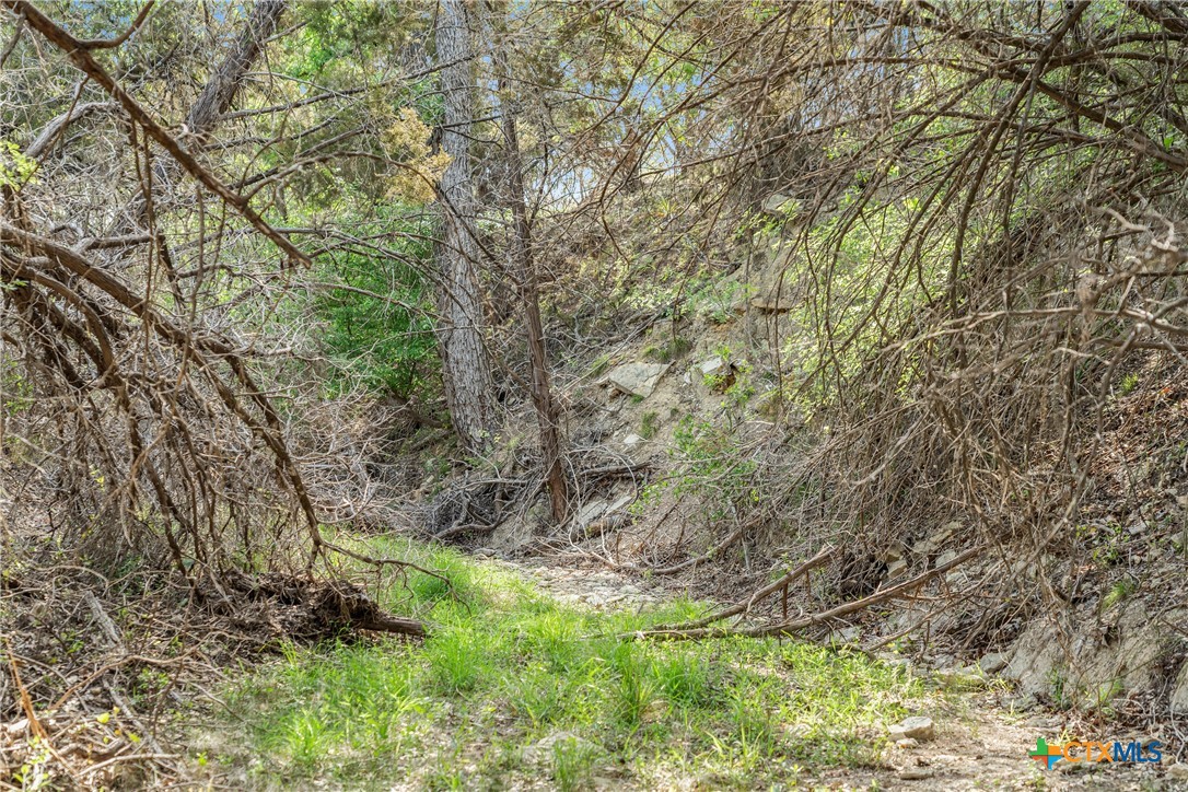 0 Hwy 290 , Johnson City, TX, 78636 | 578151 | Realty Texas LLC
