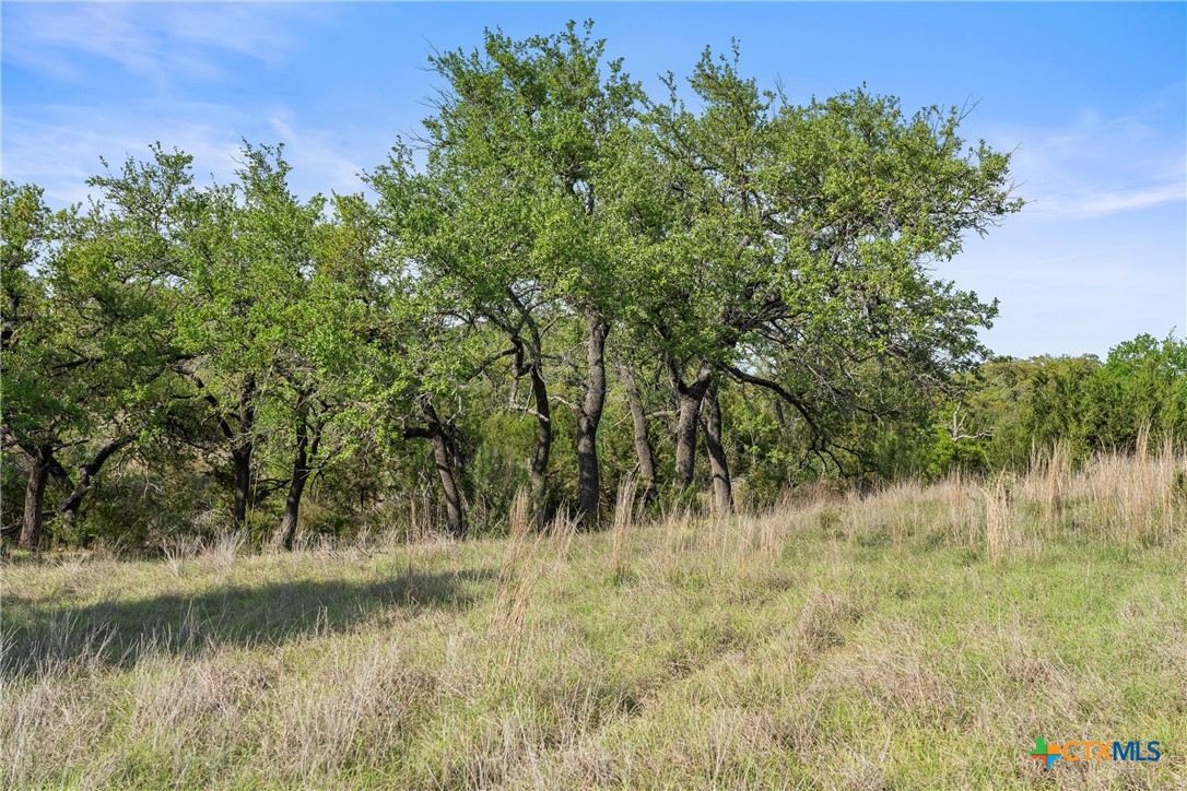 0 Hwy 290 , Johnson City, TX, 78636 | 578151 | Realty Texas LLC