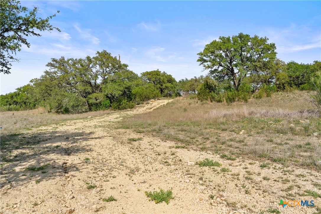 0 Hwy 290 , Johnson City, TX, 78636 | 578151 | Realty Texas LLC