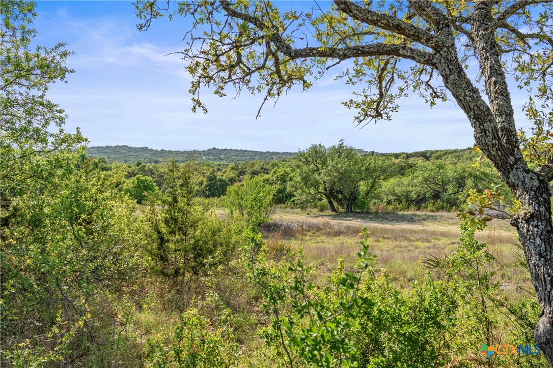 0 Hwy 290 , Johnson City, TX, 78636 | 578151 | Realty Texas LLC