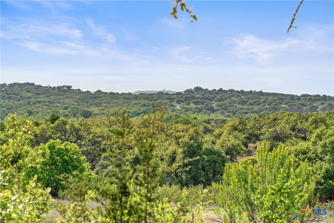 0 Hwy 290 , Johnson City, TX, 78636 | 578151 | Realty Texas LLC