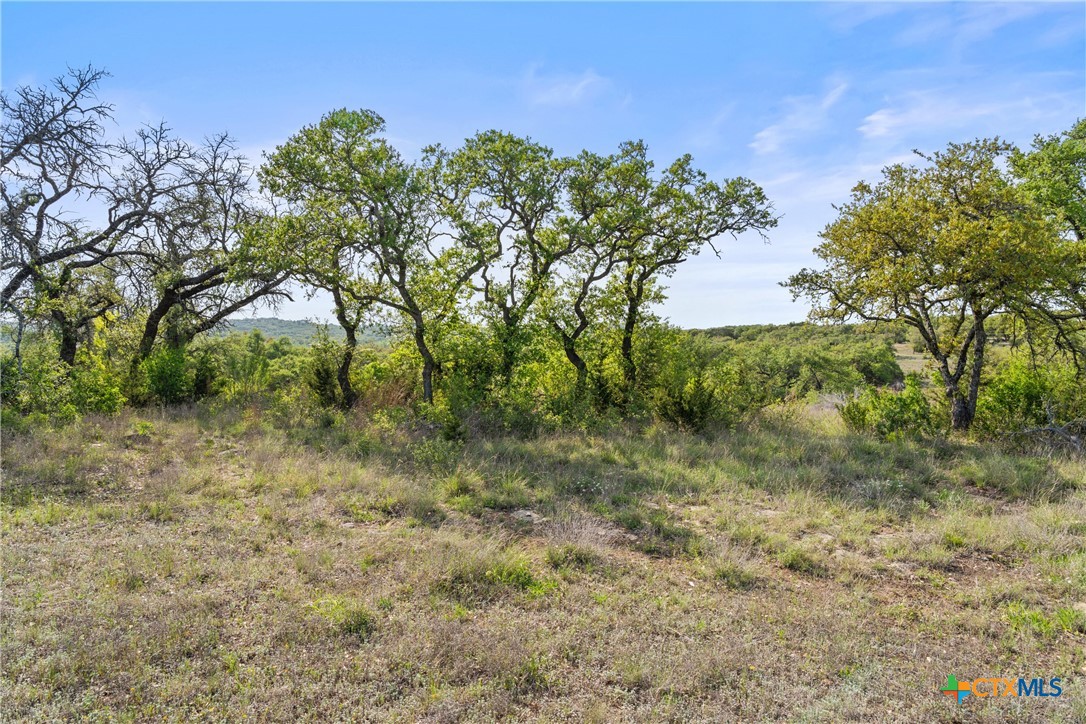 0 Hwy 290 , Johnson City, TX, 78636 | 578151 | Realty Texas LLC