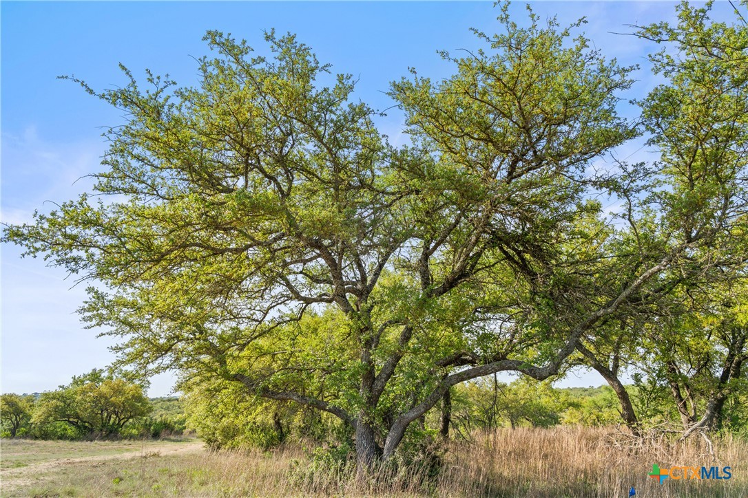 0 Hwy 290 , Johnson City, TX, 78636 | 578151 | Realty Texas LLC