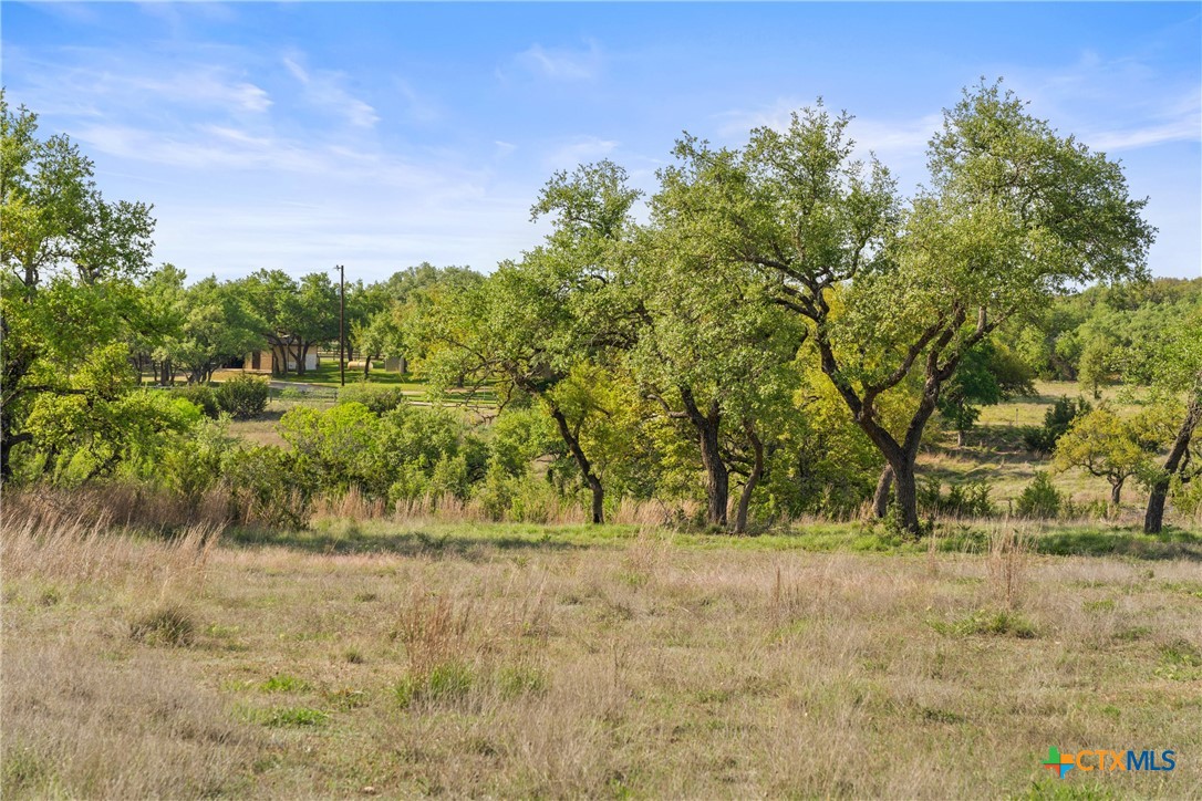 0 Hwy 290 , Johnson City, TX, 78636 | 578151 | Realty Texas LLC