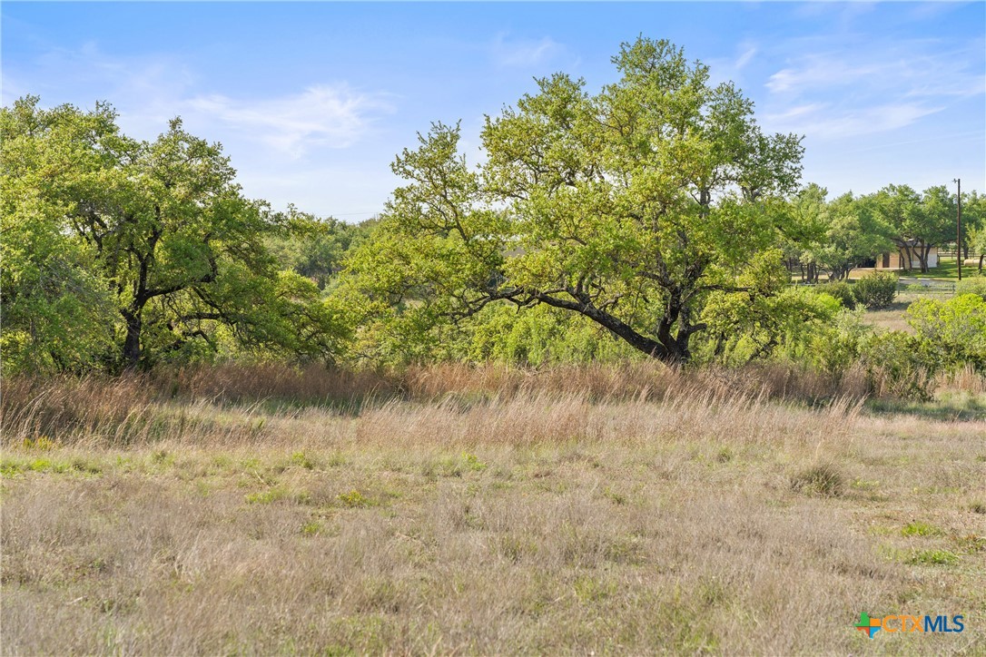 0 Hwy 290 , Johnson City, TX, 78636 | 578151 | Realty Texas LLC