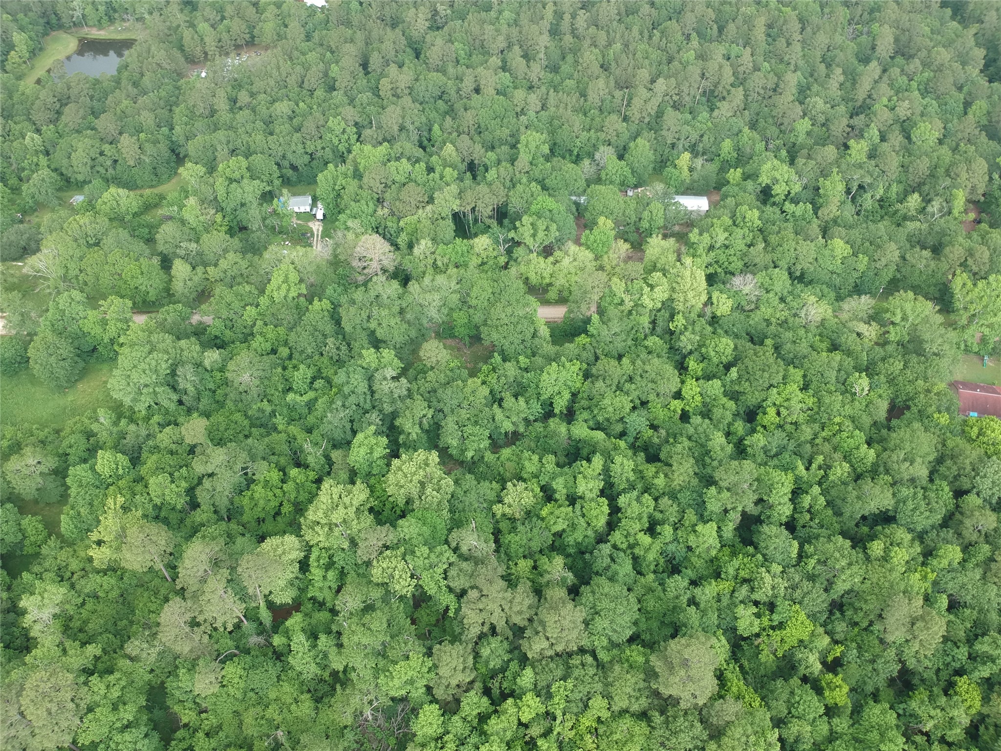 TBD Gourd Creek Road , Huntsville, TX, 77340 | 86642346 | Realty Texas LLC