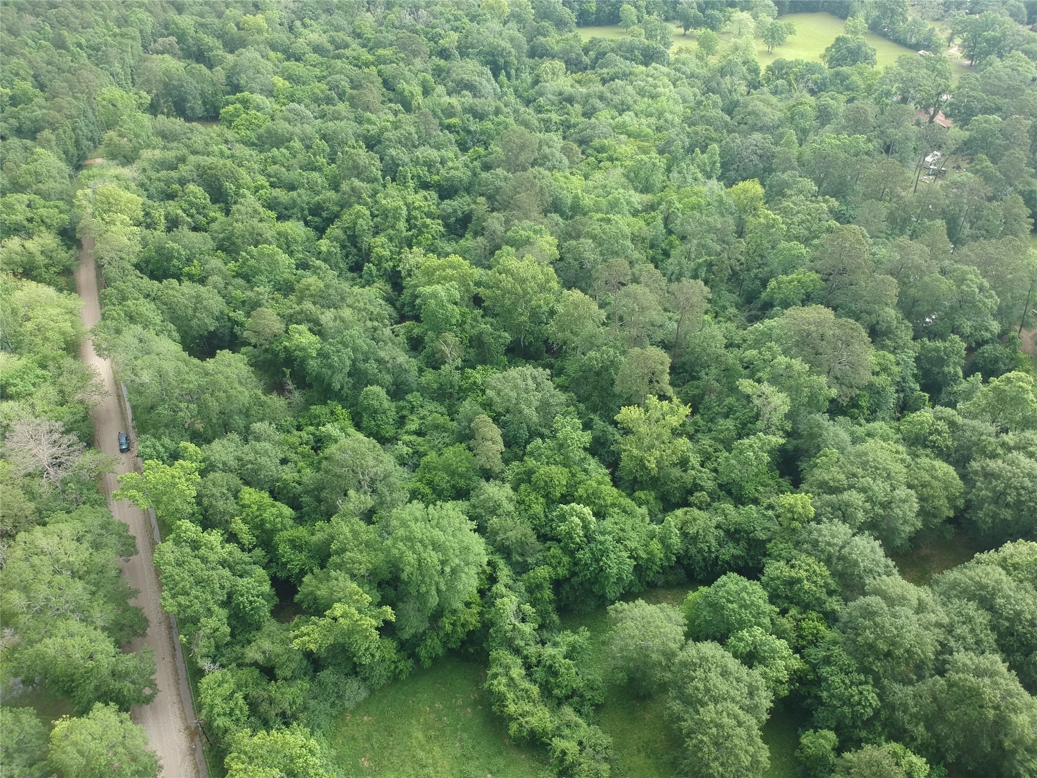 TBD Gourd Creek Road , Huntsville, TX, 77340 | 86642346 | Realty Texas LLC