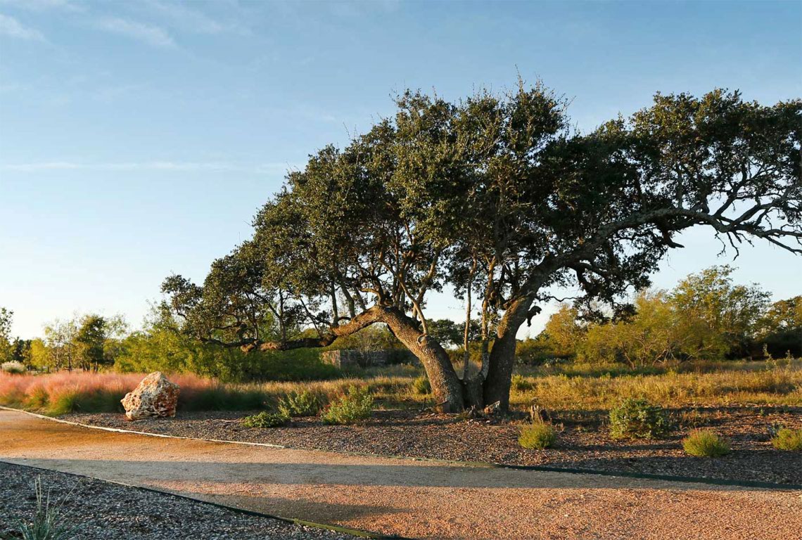 2453 Ambling Trail , Georgetown, TX, 78628 | 6914902 | Realty Texas LLC