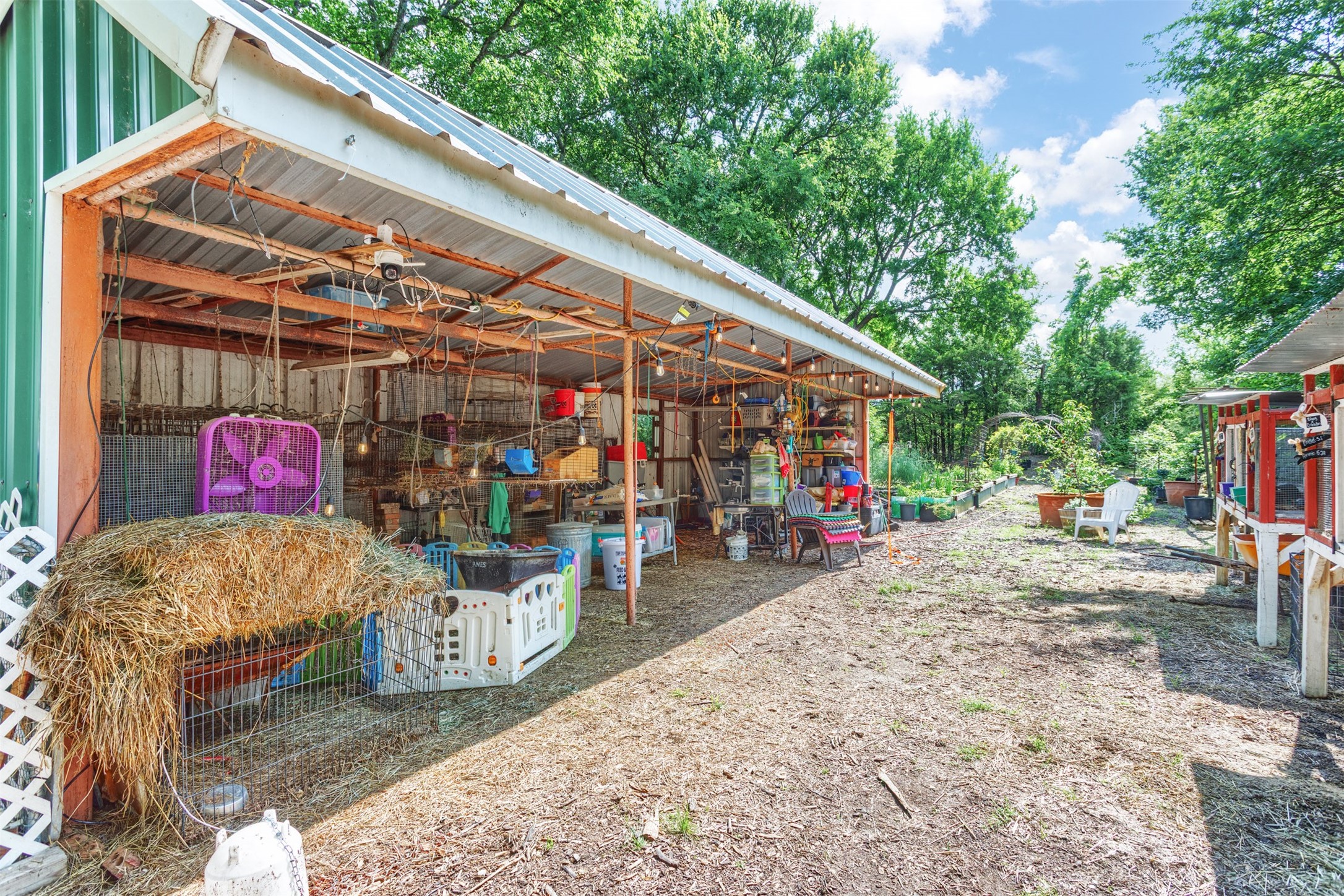 801 Dalton Drive , Princeton, TX, 75407 | 20928040 | Realty Texas LLC