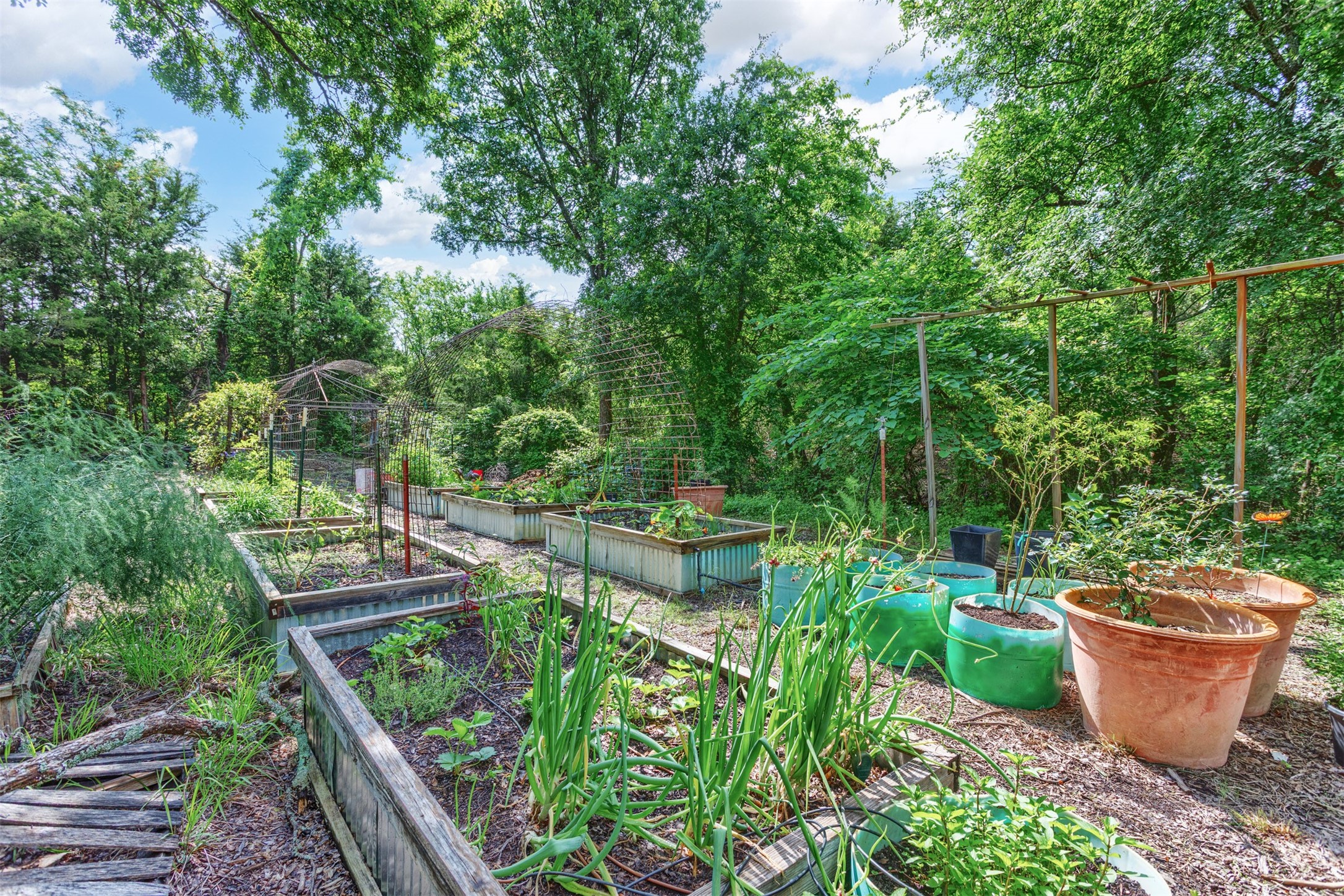 801 Dalton Drive , Princeton, TX, 75407 | 20928040 | Realty Texas LLC