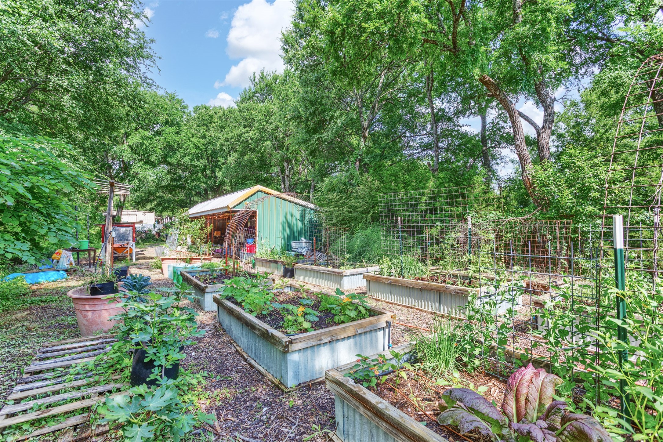 801 Dalton Drive , Princeton, TX, 75407 | 20928040 | Realty Texas LLC