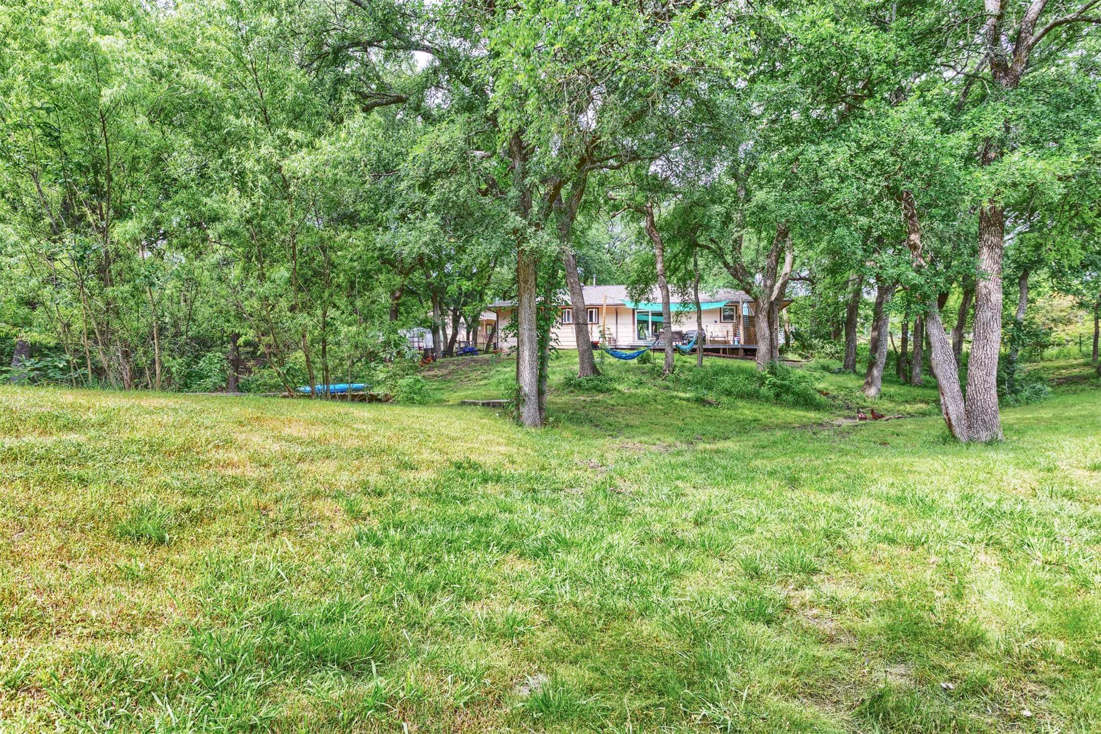 801 Dalton Drive , Princeton, TX, 75407 | 20928040 | Realty Texas LLC