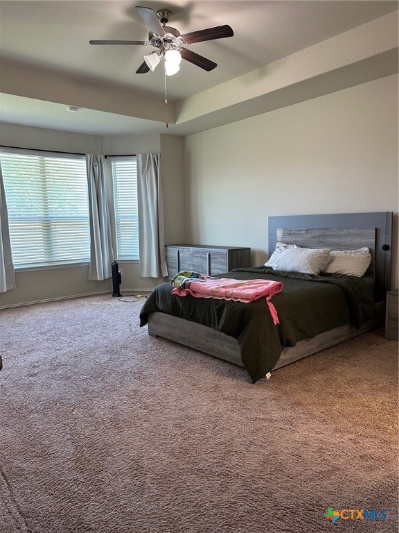 215 Danielle Drive , Killeen, TX, 76542 | 579430 | Realty Texas LLC
