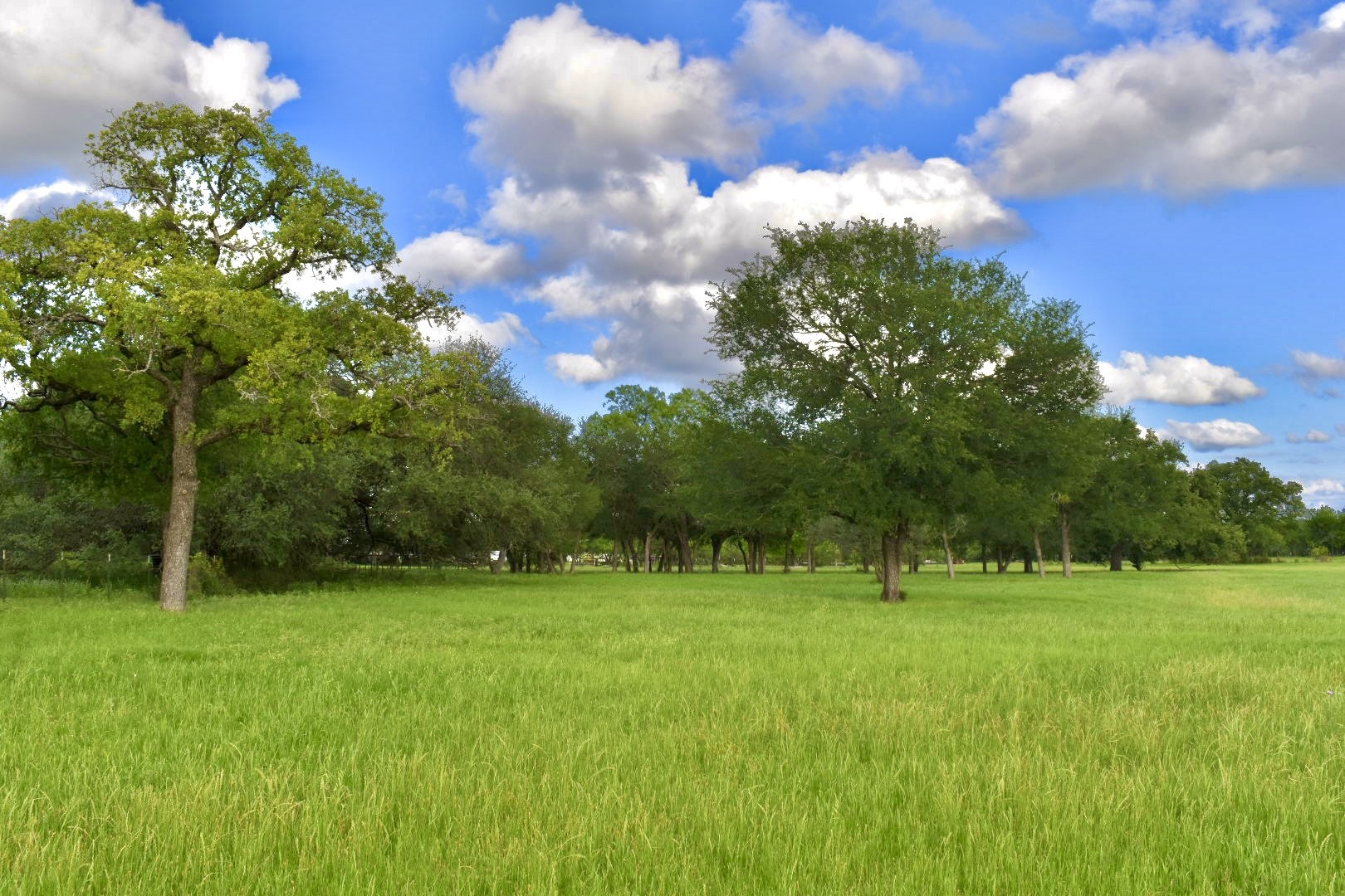 977 County Road 150 , Stephenville, TX, 76401 | 20931191 | Realty Texas LLC