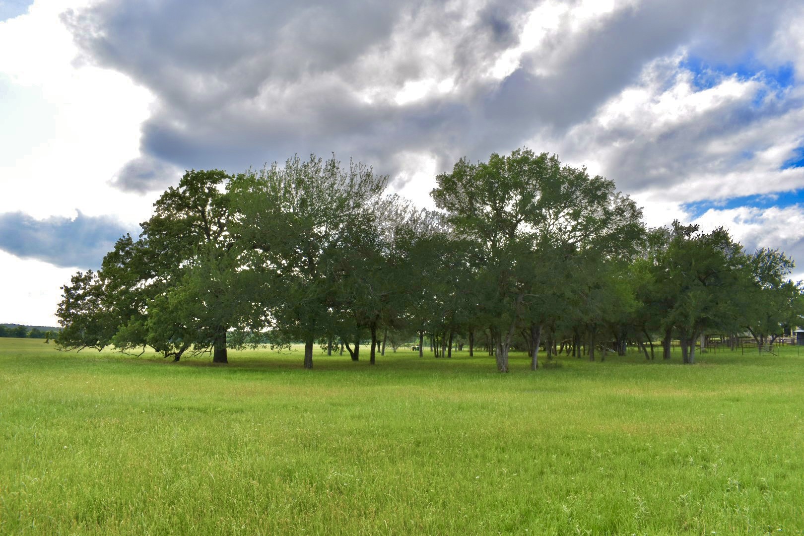 977 County Road 150 , Stephenville, TX, 76401 | 20931191 | Realty Texas LLC