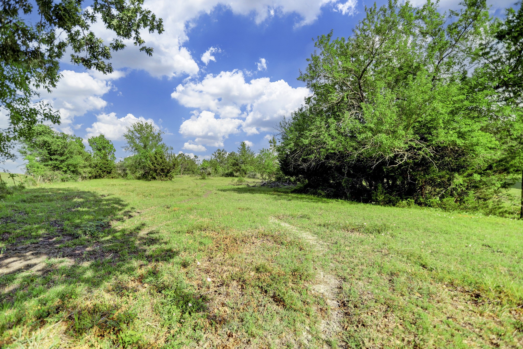 0 CR 208 , Navasota, TX, 77868 | 62781546 | Realty Texas LLC