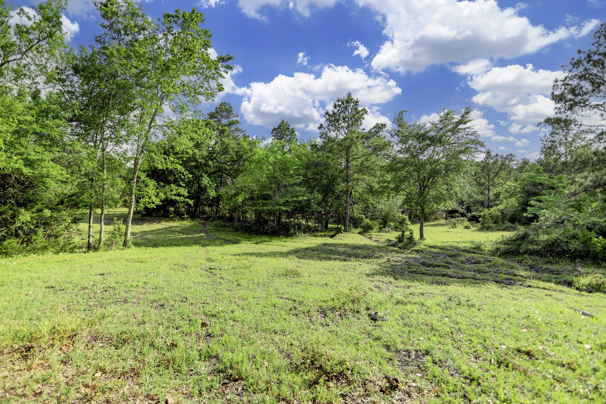 0 CR 208 , Navasota, TX, 77868 | 62781546 | Realty Texas LLC