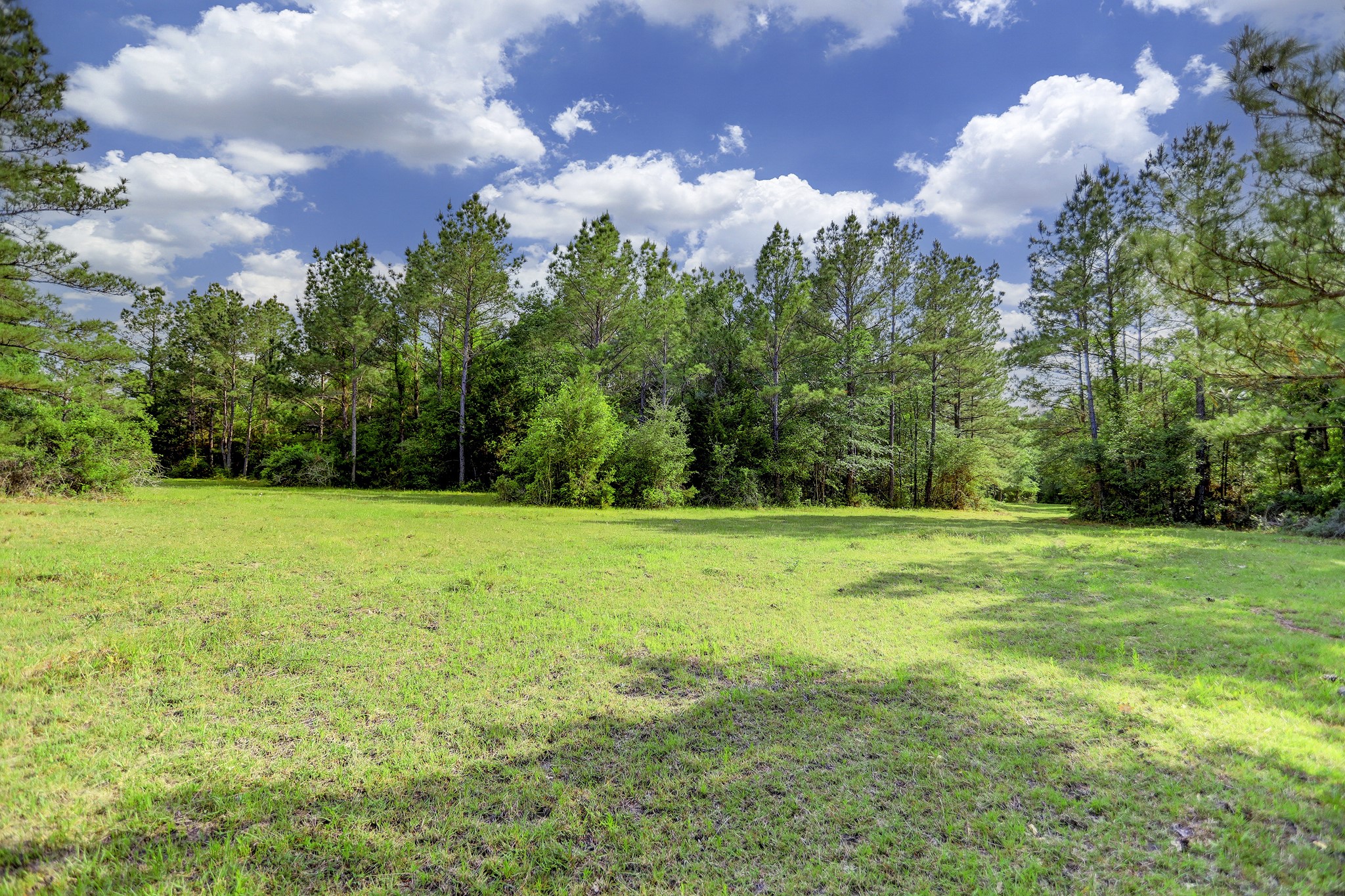 0 CR 208 , Navasota, TX, 77868 | 62781546 | Realty Texas LLC