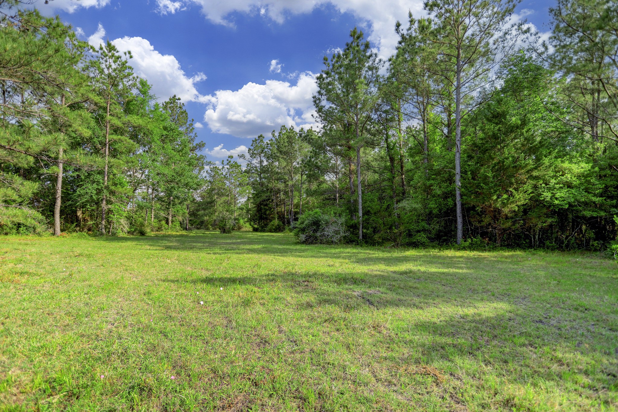 0 CR 208 , Navasota, TX, 77868 | 62781546 | Realty Texas LLC