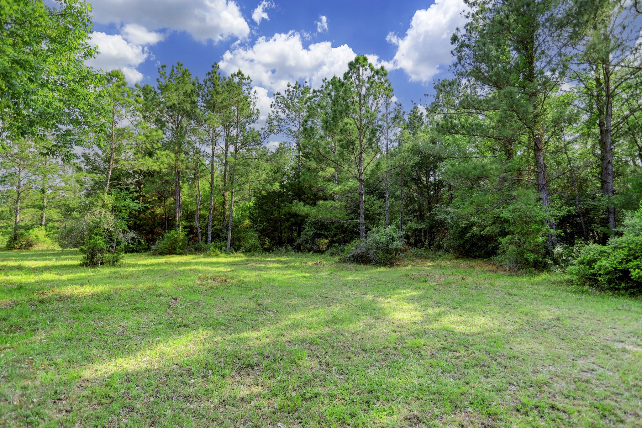0 CR 208 , Navasota, TX, 77868 | 62781546 | Realty Texas LLC
