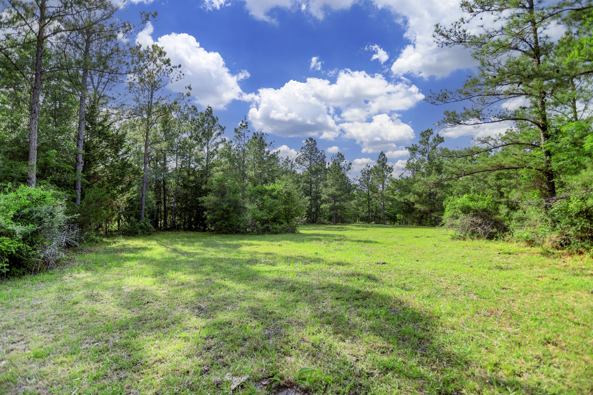0 CR 208 , Navasota, TX, 77868 | 62781546 | Realty Texas LLC