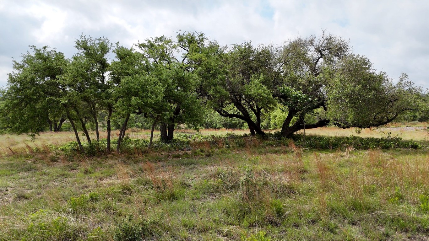207 Verbena Court , Johnson City, TX, 78636 | 6556517 | Realty Texas LLC