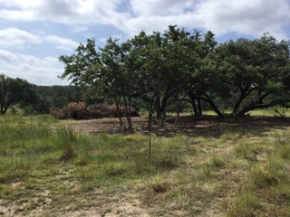207 Verbena Court , Johnson City, TX, 78636 | 6556517 | Realty Texas LLC