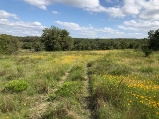 207 Verbena Court , Johnson City, TX, 78636 | 6556517 | Realty Texas LLC