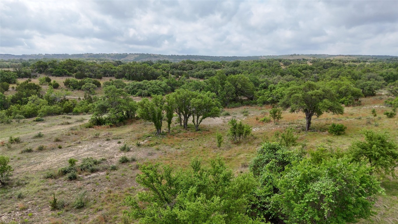 207 Verbena Court , Johnson City, TX, 78636 | 6556517 | Realty Texas LLC