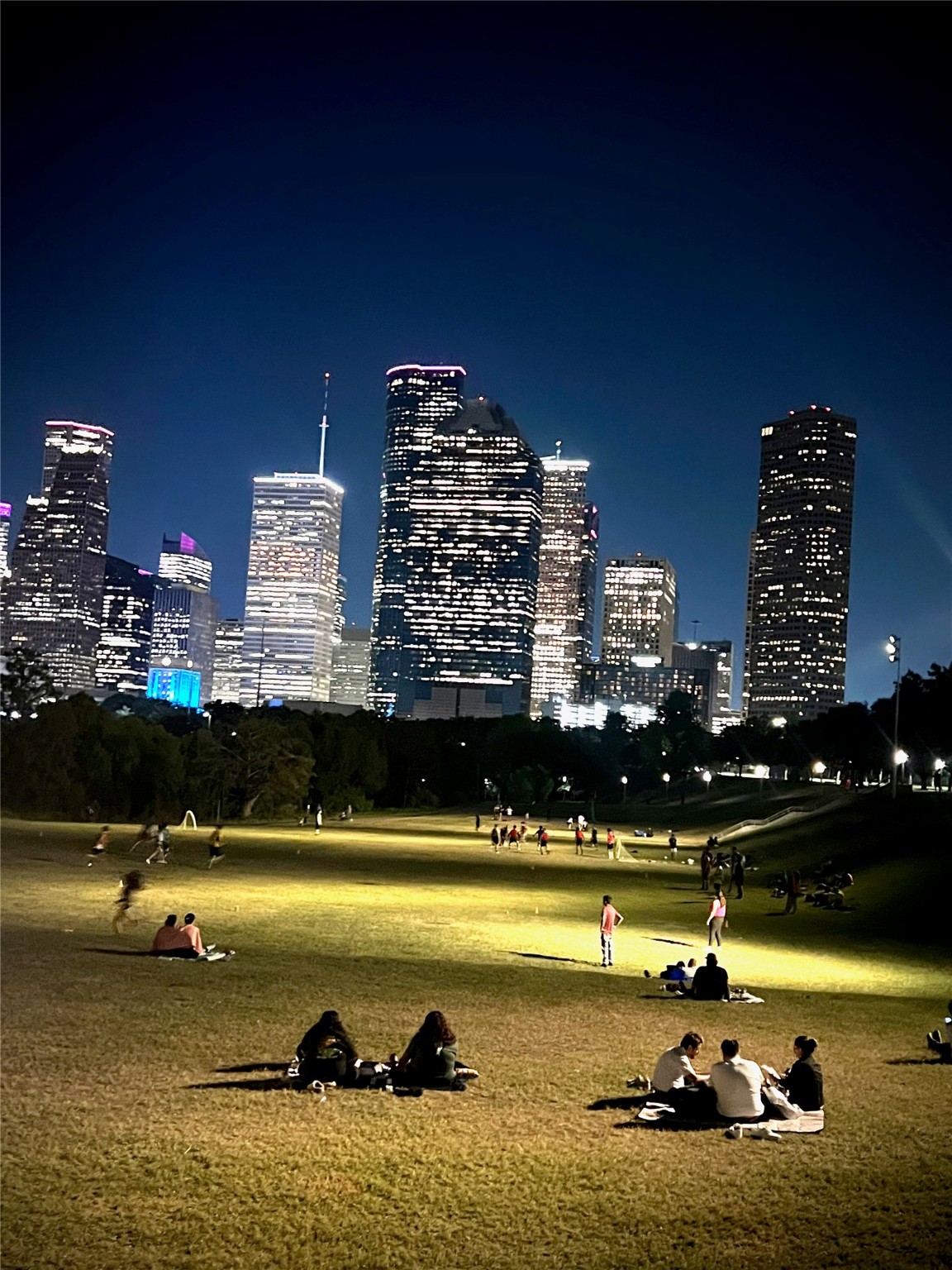 5353 Memorial Drive 3055 , Houston, TX, 77007 | 77453106 | Realty Texas LLC