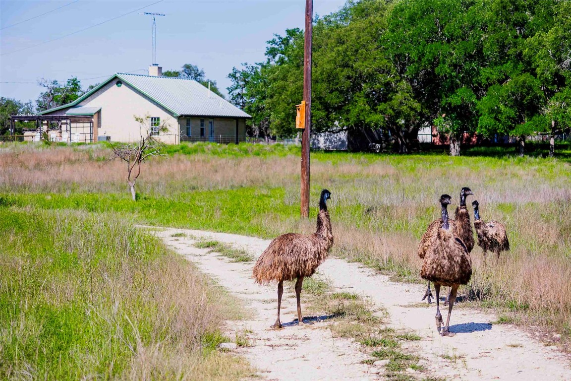 2265 County Road 106 , Purmela, TX, 76566 | 2982062 | Realty Texas LLC